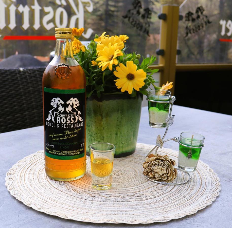 Schwarzes Ross Hotel & Restaurant Oberwiesenthal Ngoại thất bức ảnh